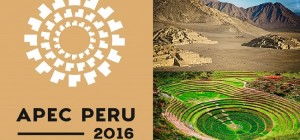 01-02-2016-logo-apec