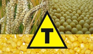Transgênicoagro2-800x600