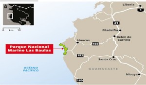 baulas