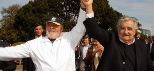 lula-pepe