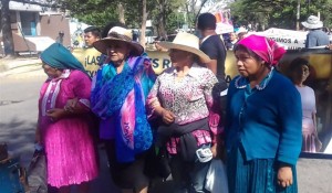 movilizacion-madre-tierra-austra-berta-696x418