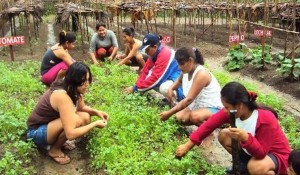 mujeres-FAO-640x360