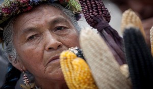 yucatan_xlarge