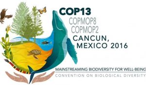 BMM52_COP13