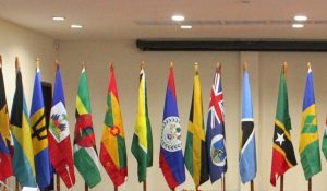 Flags-at-meeting
