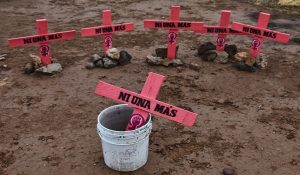 NOTA_MOVILIZACIONES.-FOTO_-themexicantimes.mx_