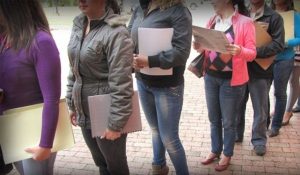 desempleo.jpg_501420591.jpg_1718483347