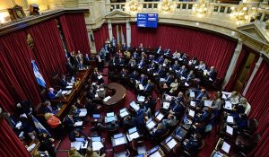senado
