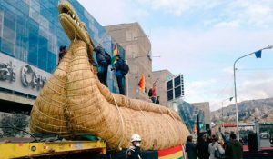 totora.jpg_1718483347
