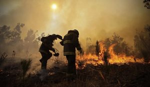 Chile-Incendio16