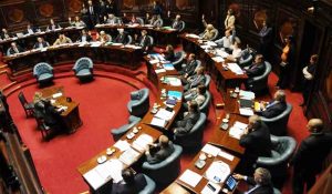 Cámara-de-senadores-parlamento