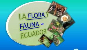 Flora_Y_Fauna