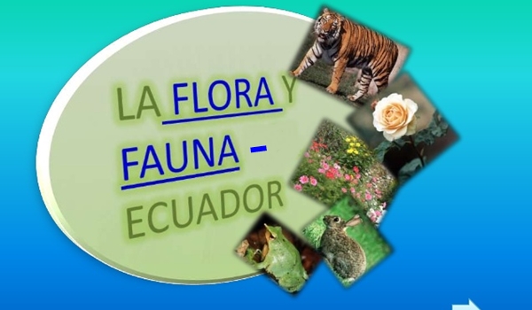 Ecuador Evaluara Los Nuevos Casos De Especies De Flora Y Fauna En