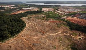 La-deforestacion-amazonica-en-Brasil-crece-un-467