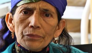 francisca-linconao