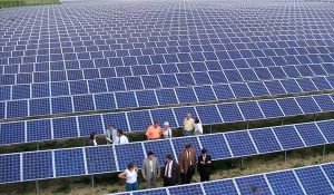 Planta-solar.-Foto-de-archivo.