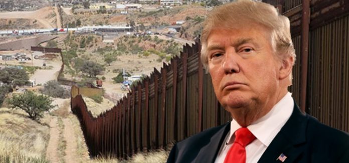 Trump-1