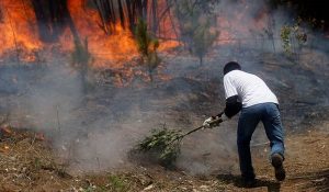 incendio