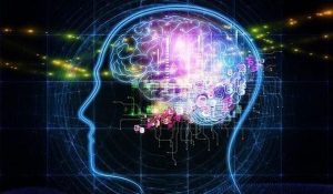 neurociencia-pameo-de-cerebro-580x330