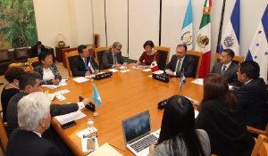 videgaray-triangulo-norte