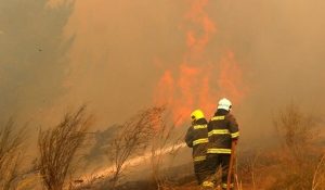 2017-01-23t200418z_1652976215_rc1bc9f68430_rtrmadp_3_chile-wildfire.jpg_1718483347