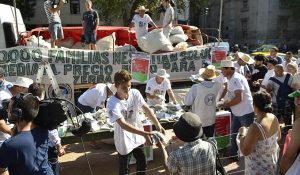 65067_web-yebbatebos-plaza-de-mayo