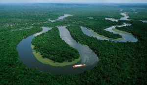 Selva-Amazonica