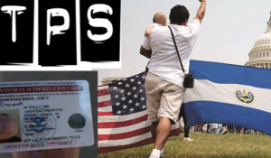 TPS 3