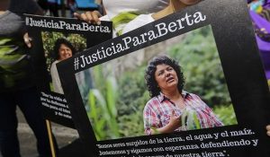 berta-caseres-article-header