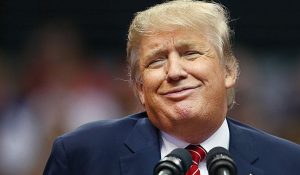 219294donaldjpg