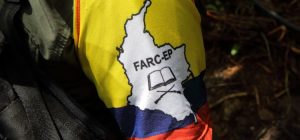 _90076369_farc