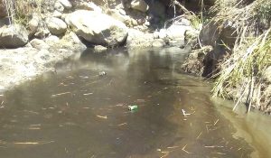 Contaminacion-Recope-rio-Cartago_LNCIMA20170331_0027_5