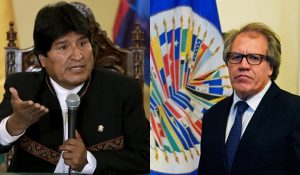 evo oea