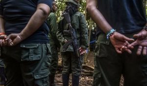farc_yari_-_afp_0