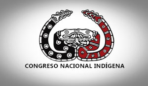 logo-CNI-To