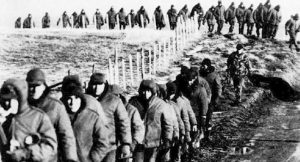 malvinas