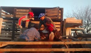 Cabras-1-1024x575