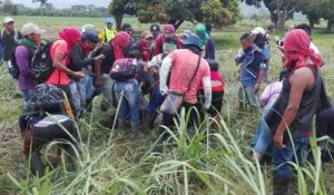 corinto_09-05-2017_telesur.jpg_1718483347