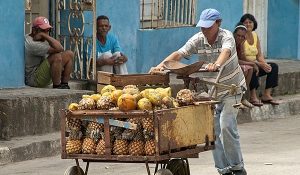 hombre-frutas-cuba