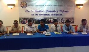 coordinadora-indigena-congreso-fototomadas-jimenabrego_medima20160919_0168_31
