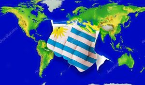 depositphotos_26275485-stock-photo-fist-in-color-national-flag