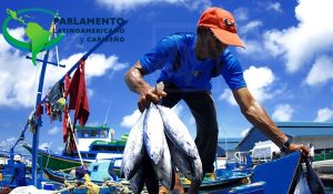 pesca-artesanal-2-1024x738