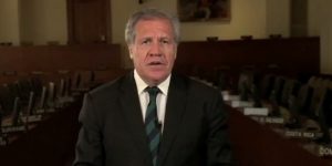 renuncia-oea