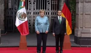 seg mex ale