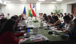 Comité de fronteras + Bolivia - Chile
