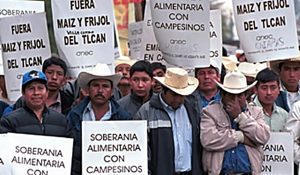 MEX4