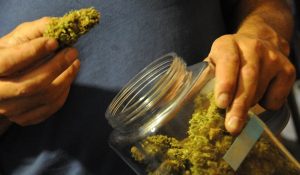 Marihuana