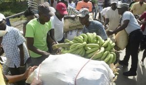 Productos-de-RD-en-Frontera