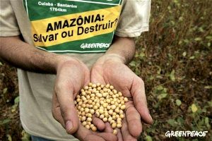 amazonia