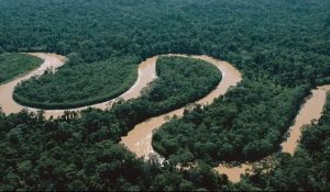 amazonía + Brasil